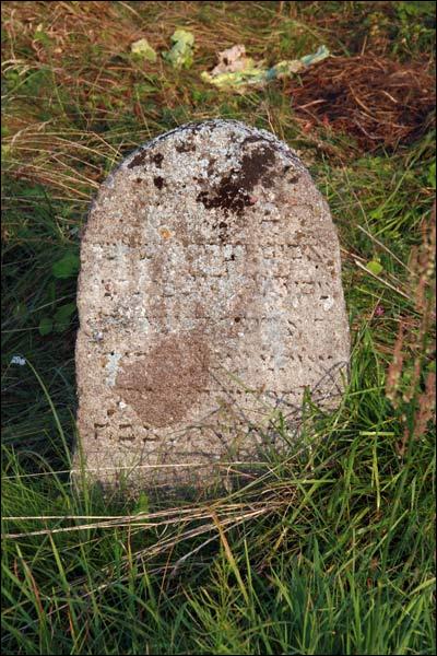 Mołczadź. Cmentarz żydowski