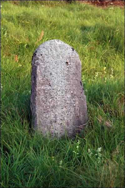 Mołczadź. Cmentarz żydowski