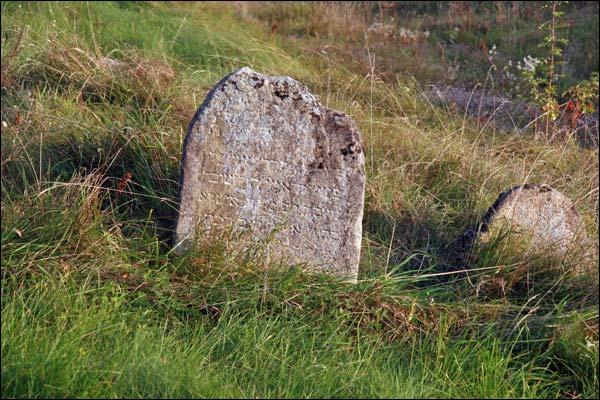 Mołczadź. Cmentarz żydowski
