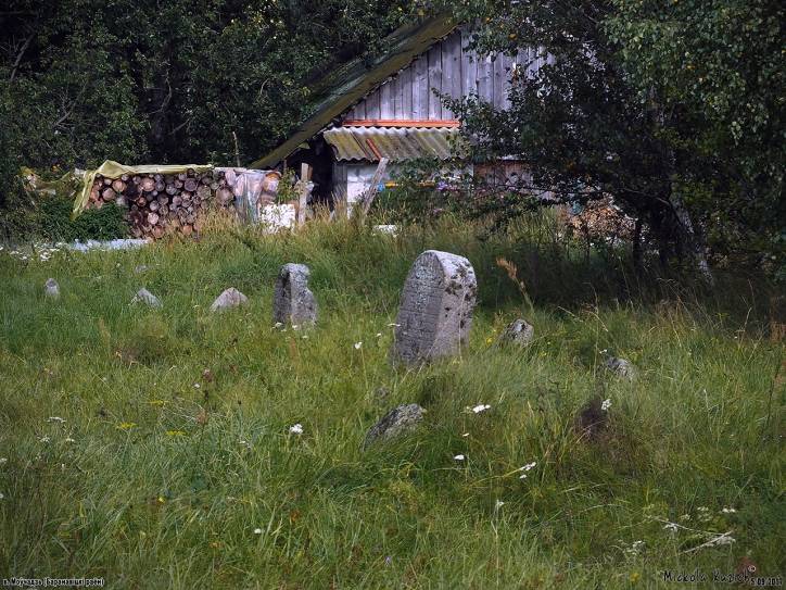 Mołczadź. Cmentarz żydowski