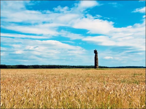 Jatviesk (Šnipki).  Memorial column
