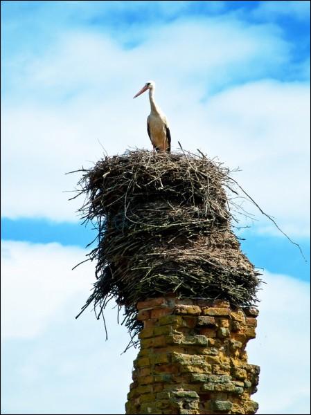 Jatviesk (Šnipki).  Memorial column