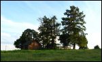 Miłušava.  Farmstead 
