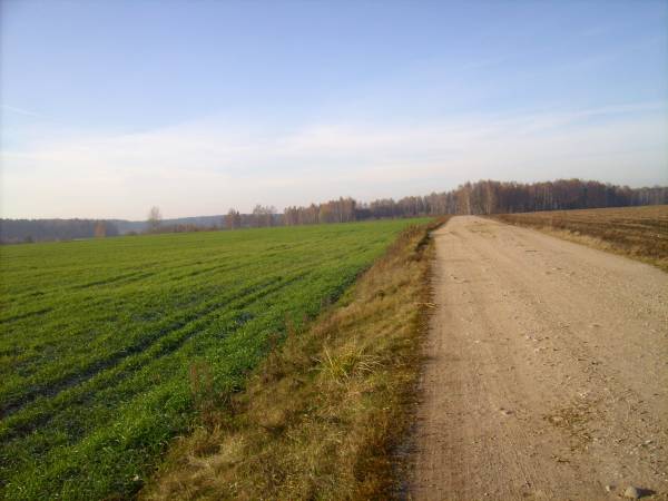 Landscapes  .   - Landscapes .