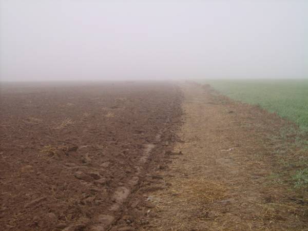 Landscapes  .   - Landscapes .