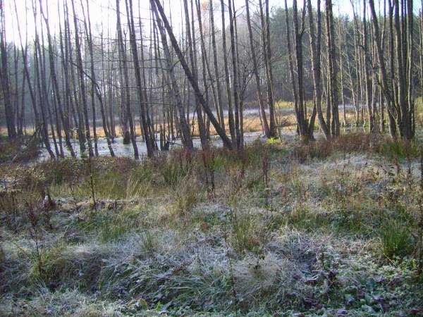 Landscapes  .   - Landscapes .