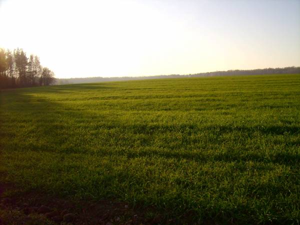 Landscapes  .   - Landscapes .