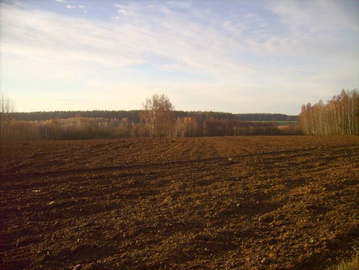 Landscapes  .   - Landscapes .