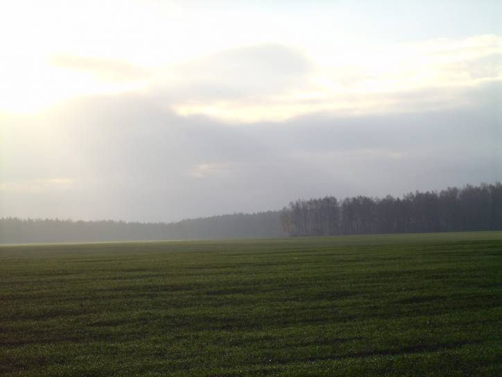 Landscapes  .   - Landscapes .