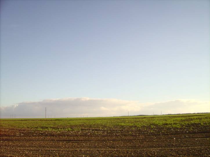 Landscapes  .   - Landscapes .