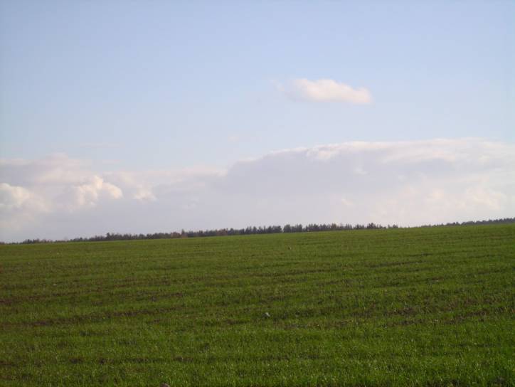 Landscapes  .   - Landscapes .