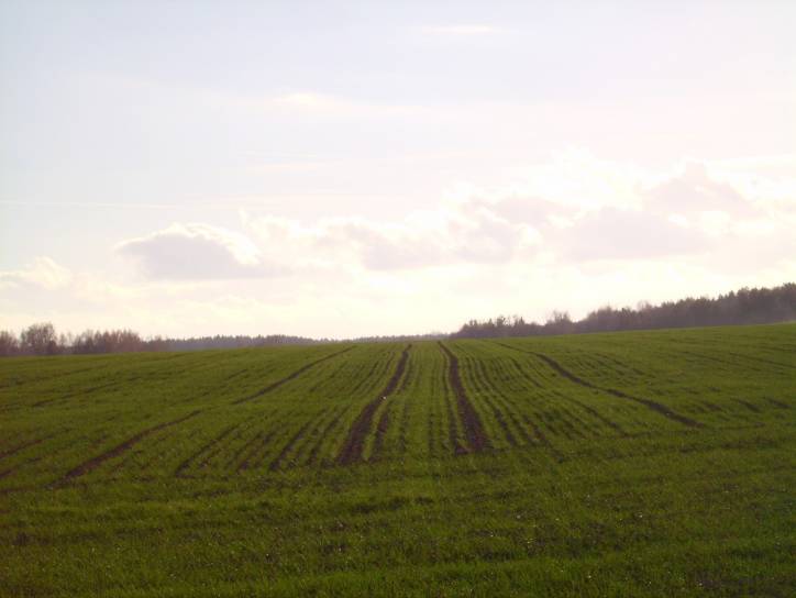 Landscapes  .   - Landscapes .