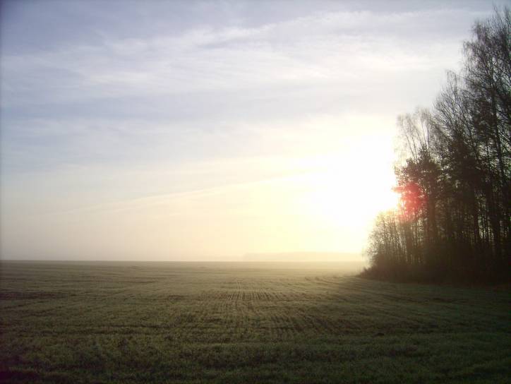 Landscapes  .   - Landscapes .