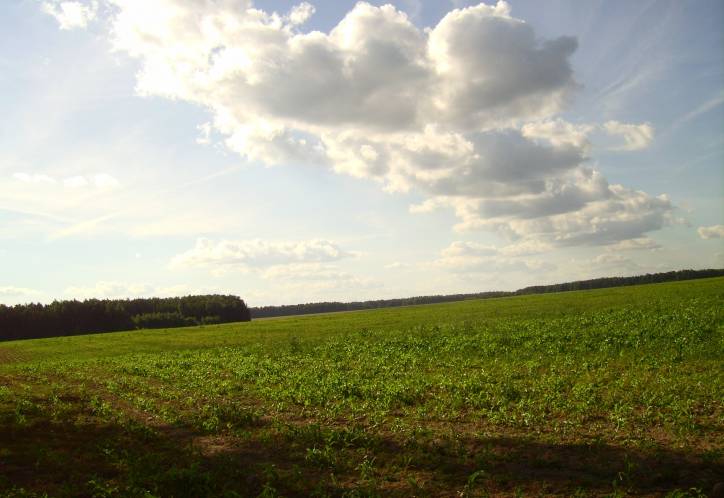 Landscapes  .   - Landscapes .