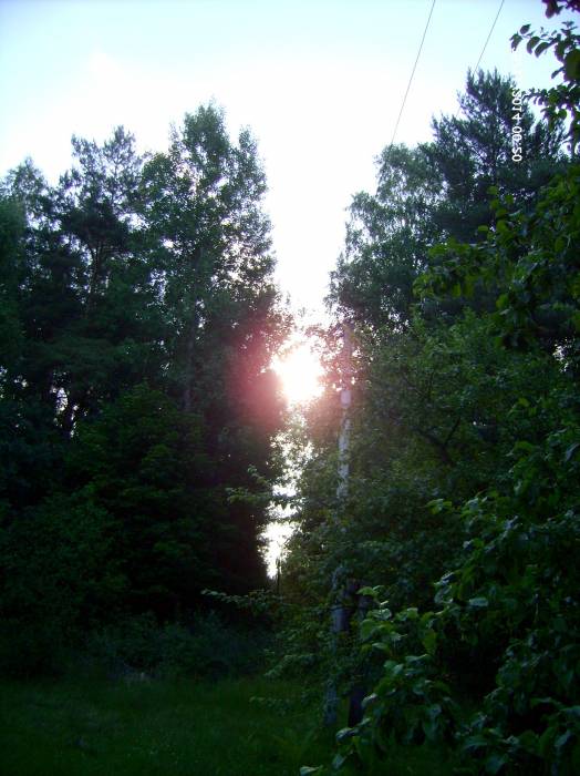 Landscapes  .   - Landscapes .