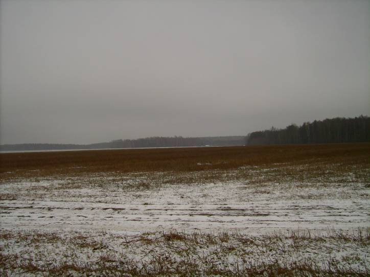 Landscapes  .   - Landscapes .