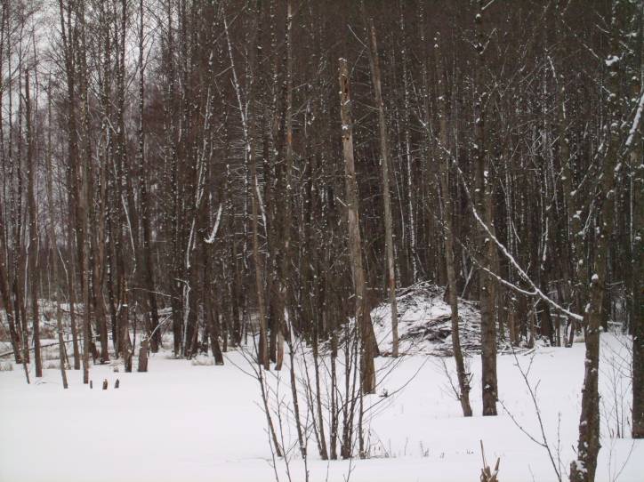 Landscapes  .   - Landscapes .