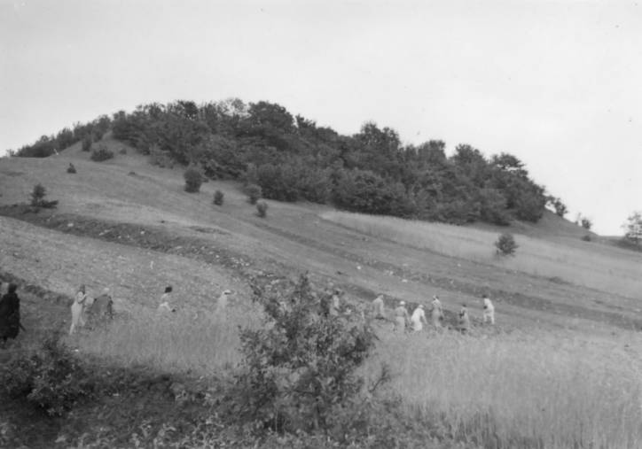  - Grodzisko . 