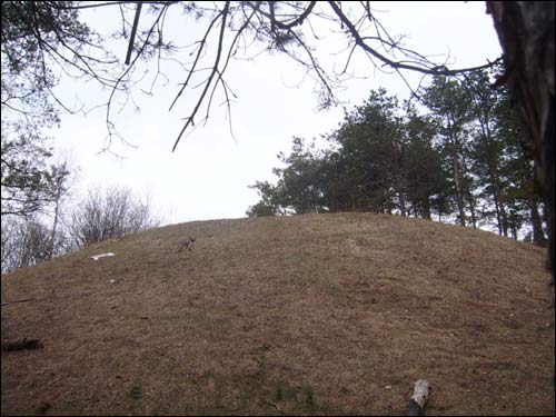 Holszany. Grodzisko 