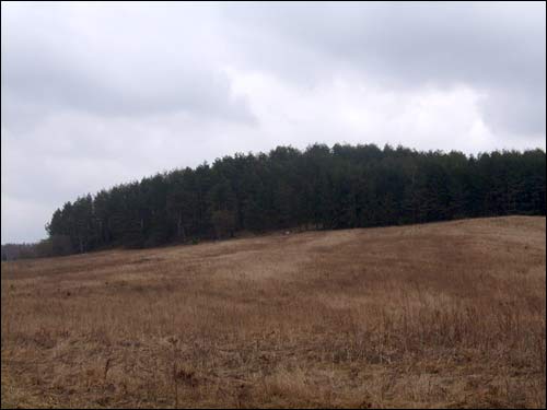  - Grodzisko . Grodzisko, widok z drogi do Borunów