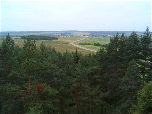 Holszany. Grodzisko 