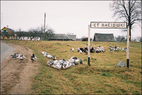 Старые Василишки. В деревне 