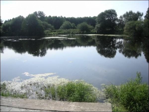 Bieniuny |  Krajobrazy . 