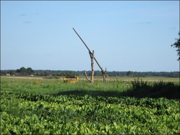 Milkaŭščyna. Landscapes 