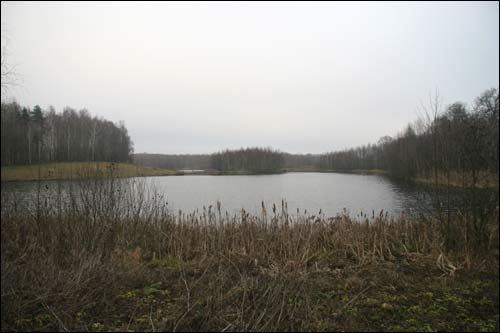 Pacyniany (Pałonka). Landscapes 