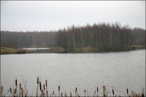 Pacyniany (Pałonka) |  Landscapes . The isle