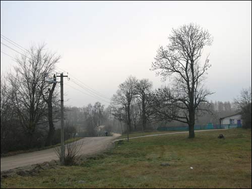 Pacyniany (Pałonka). Landscapes 