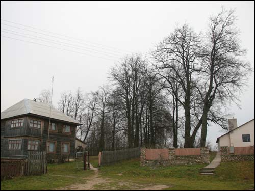 Pacyniany (Pałonka). Landscapes 