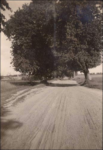 Щорсы. Деревня на старых фотографиях 