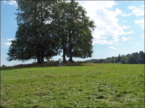 Миратичи. Кладбище старое католическое