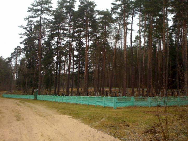  - cemetery Tartarian. 