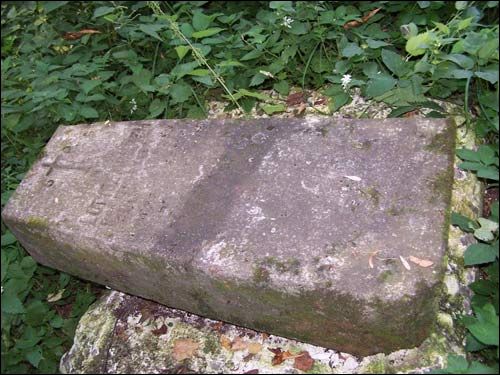 Войново (Любча). Кладбище старое католическое