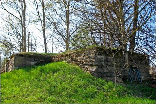 Vasilevičy. Defensive Fortifications 