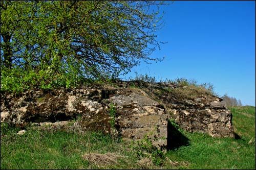 Васілевічы. Абарончыя ўмацаванні 