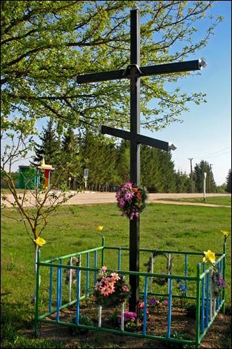 Василевичи. В деревне 