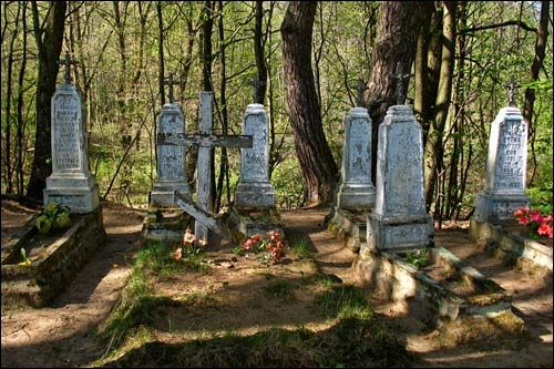 Василевичи. В деревне 