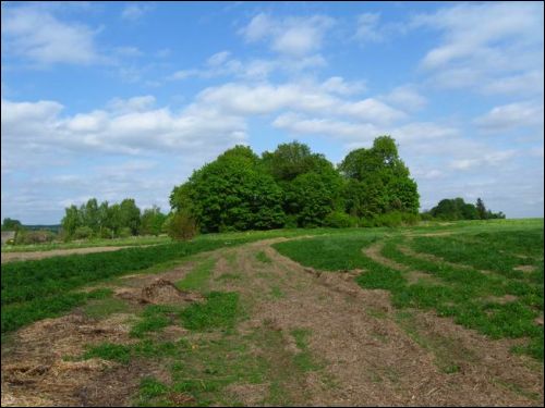 Забалацце. Могілкі татарскія (Мізар)