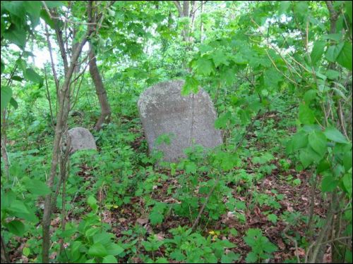  - Кладбище татарское (Мизар). 