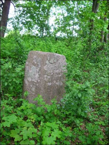  - Кладбище татарское (Мизар). 