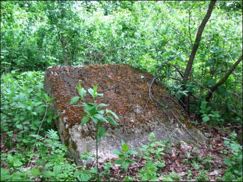 Zabłocie. Cmentarz tatarski (Mizer)
