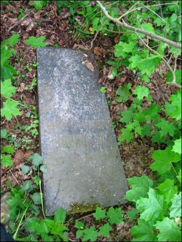  - Кладбище татарское (Мизар). 