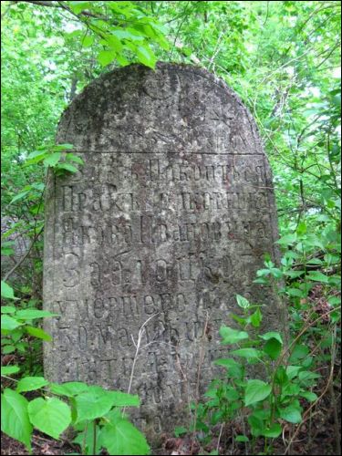  - Кладбище татарское (Мизар). Полковник Яков Иванович Заблоцкий жил 53 года умер 30 мая 1885г.