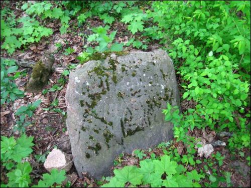  - Кладбище татарское (Мизар). 