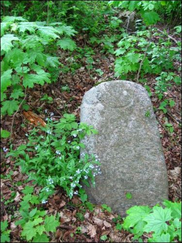  - Кладбище татарское (Мизар). 