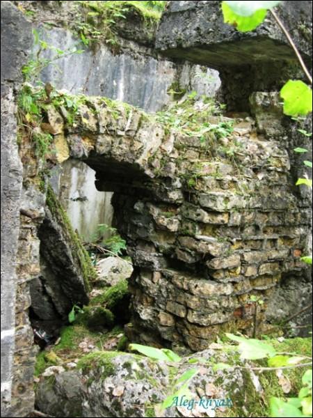 Hrandzičy. Defensive Fortifications 