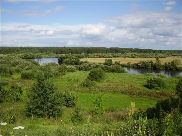Свислочь |  Пейзажи . 